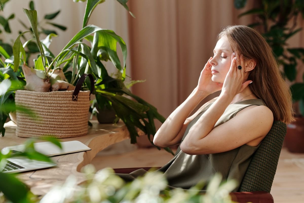 Quelle plante pour le stress et l’anxiété ? Guide complet