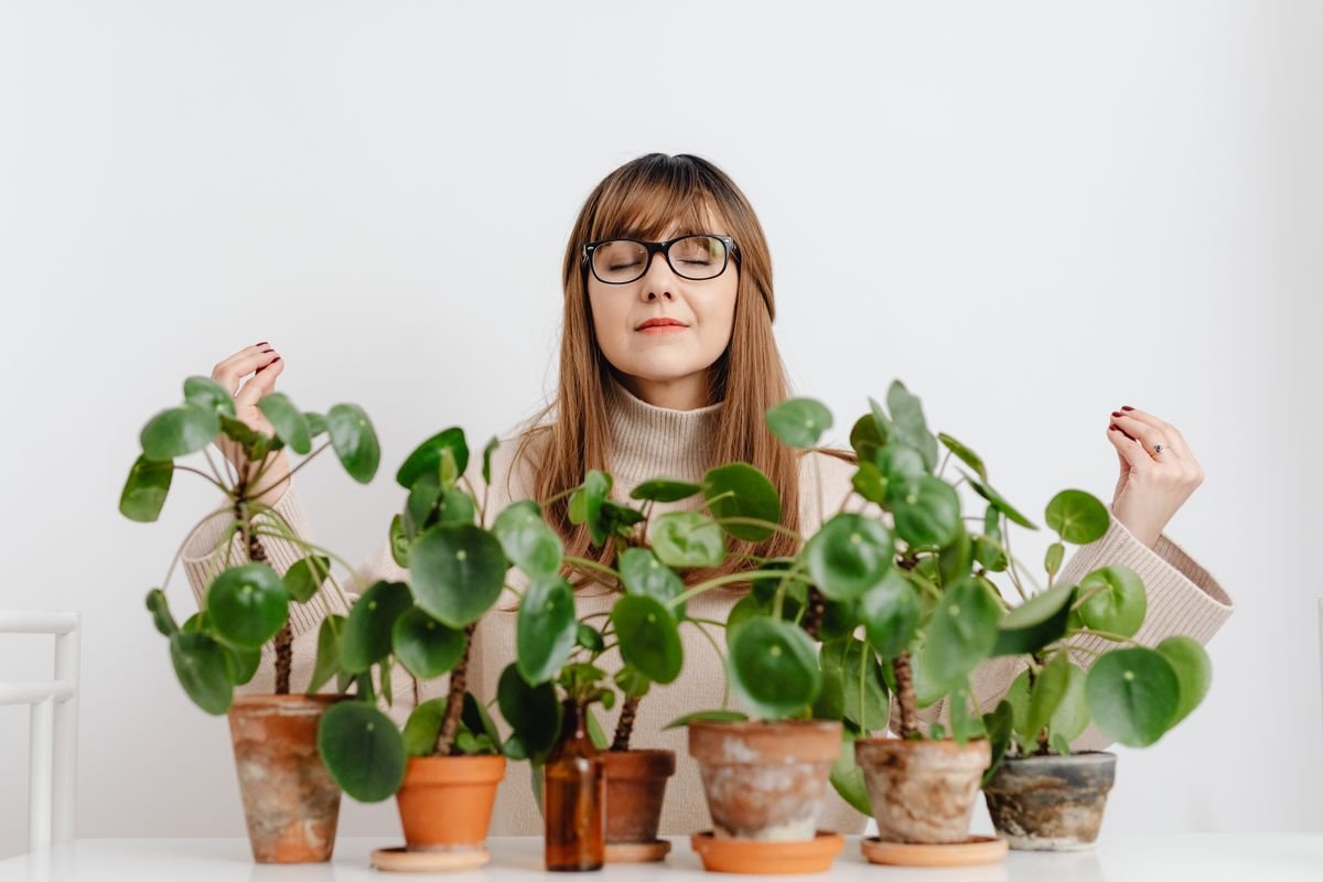 Quelle plante pour le stress et l'anxiété ? Guide complet - Le stress et l’anxiété : comprendre les mécanismes et les besoins de l’organisme
