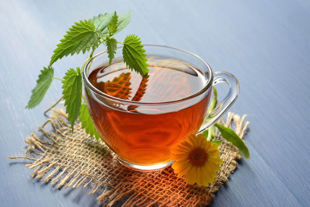 Tisane du soir : les 7 meilleures plantes pour se détendre et bien dormir