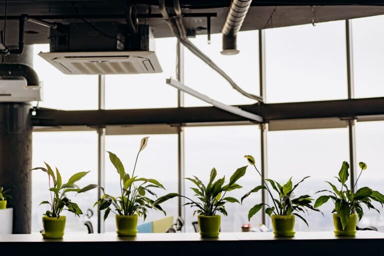 Améliorer la qualité de l&rsquo;air intérieur : causes et solutions efficaces