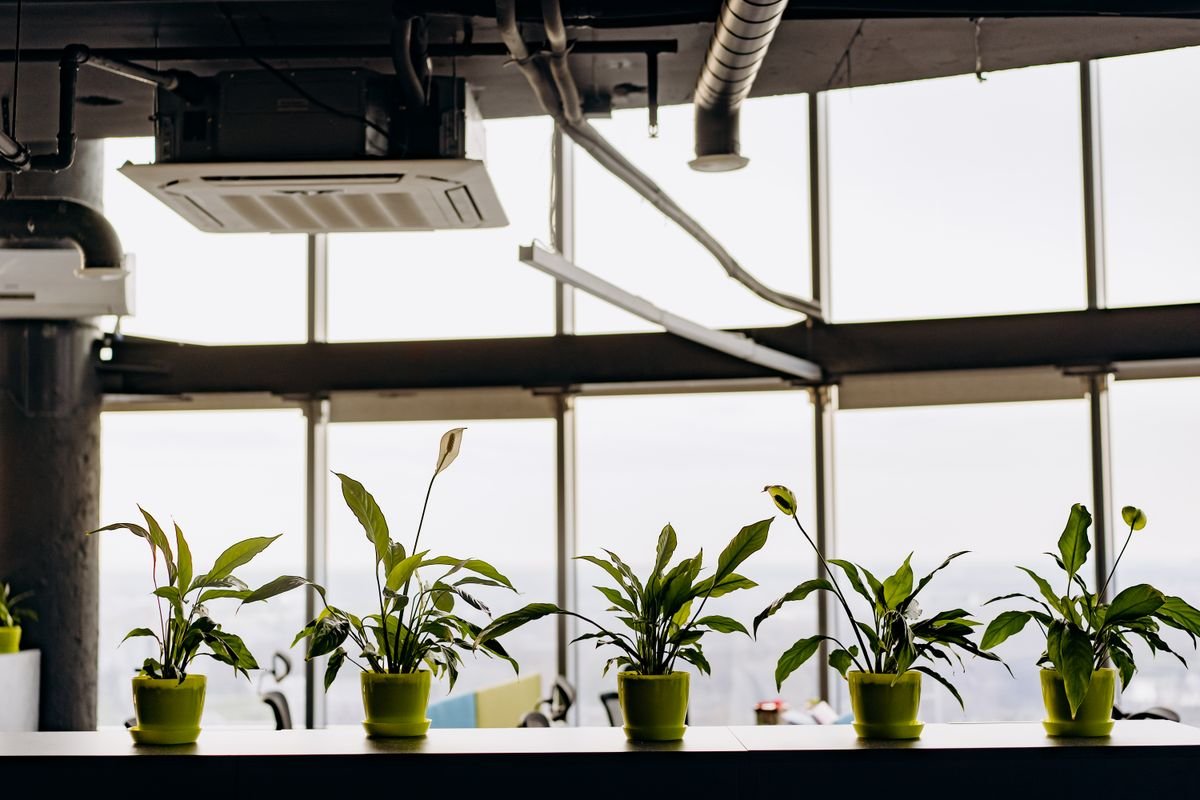 Améliorer la qualité de l'air intérieur : causes et solutions - Comprendre les causes de la pollution de l’air intérieur